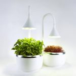 Lampe und Gefäß lassen sich individuell anpassen. (Foto: SproutsIO Inc.)