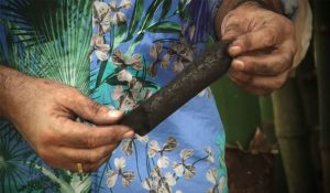 Durch hochwertige Karbonisierung steigt die Effizienz. (Foto: Ankobra Farms)