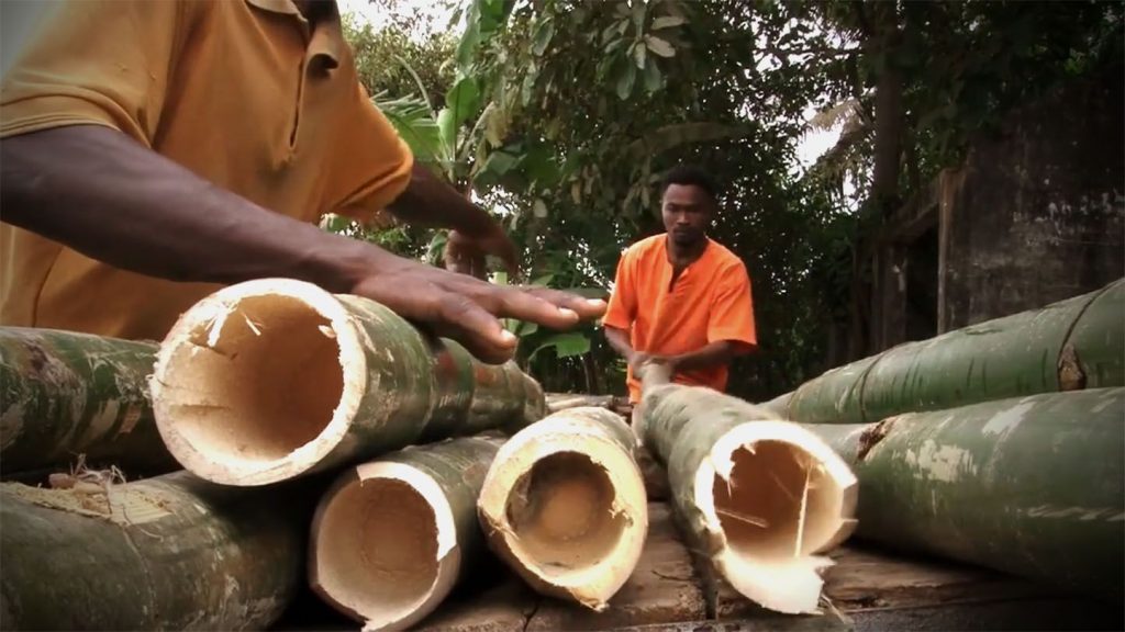 Aus Bambus wird eine bessere Welt? (Foto: Ankobra Farms)