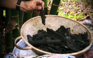 Es wird gar nicht so viel Geld benötigt. (Foto: Ankobra Farms)