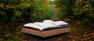 Ein Bett im Wald? Nunja. (Foto: Julia Kneuse / kneuse.de)