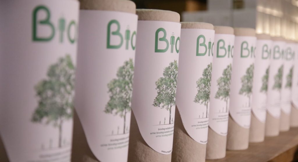 Urnen, aus denen Bäume werden. (Foto: Bios Urn)