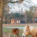Skyview Cabin. (Foto: getawaydeluxe.com / Annelore van Herwijnen)