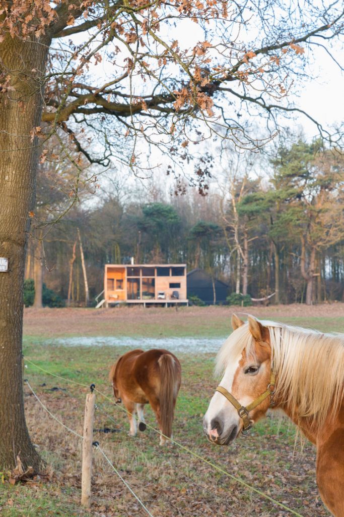 Skyview Cabin. (Foto: getawaydeluxe.com / Annelore van Herwijnen)