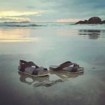 Zouri. (Foto: Zouri)