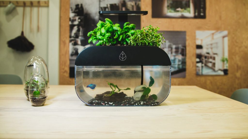 Auch für Einsteiger geeignet. (Foto: Ecobloom)