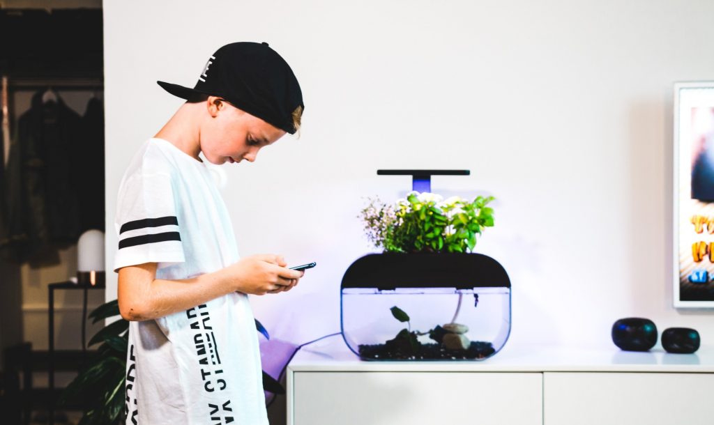 Ideal für Kids und Familien. (Foto: Ecobloom)