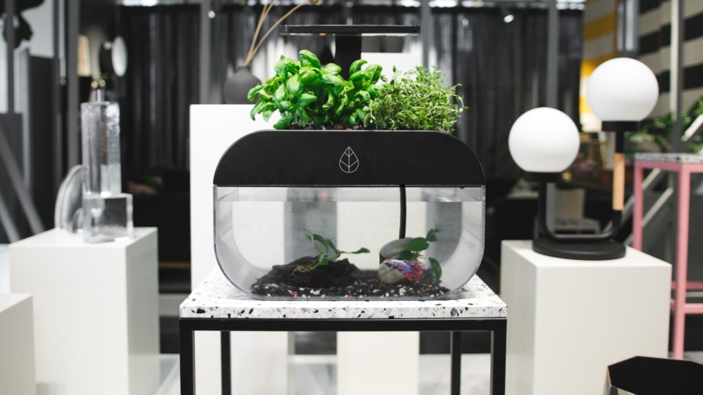 Der EcoGarden hat viel zu bieten. (Foto: Ecobloom)