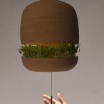 Brot. (Foto: Benditas Studio)