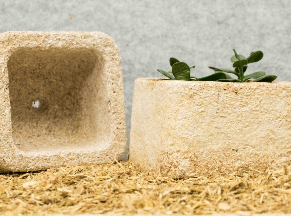 Blumentöpfe? Lasst sie wachsen. (Foto: Ecovative Design)