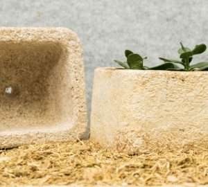 Blumentöpfe? Lasst sie wachsen. (Foto: Ecovative Design)