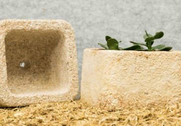 Blumentöpfe? Lasst sie wachsen. (Foto: Ecovative Design)