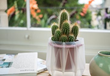 Ungewöhnliche, aber praktische Blumentöpfe. (Foto: Potr)