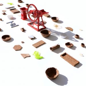 Plastik-Ersatz auf biologische Weise. (Foto: Gaurav MK Wali)