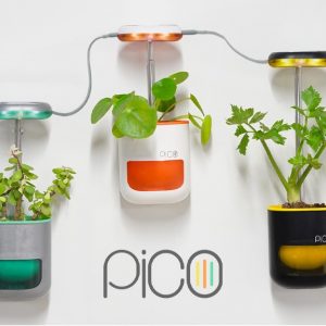 Die Qual der Wahl. (Foto: Altifarm Enverde)