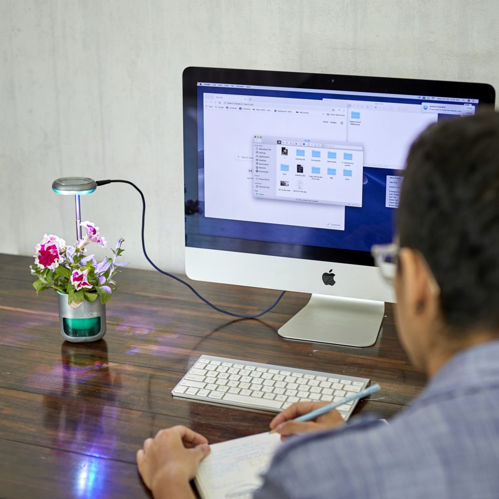 Attraktiv auch im Büro. (Foto: Altifarm Enverde)