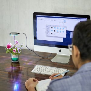 Attraktiv auch im Büro. (Foto: Altifarm Enverde)