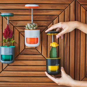 Verschiedene Farben sind vorgesehen. (Foto: Altifarm Enverde)