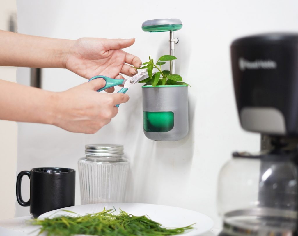 Pico in der Küche. (Foto: Altifarm Enverde)