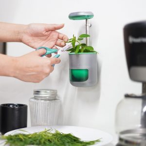 Pico in der Küche. (Foto: Altifarm Enverde)