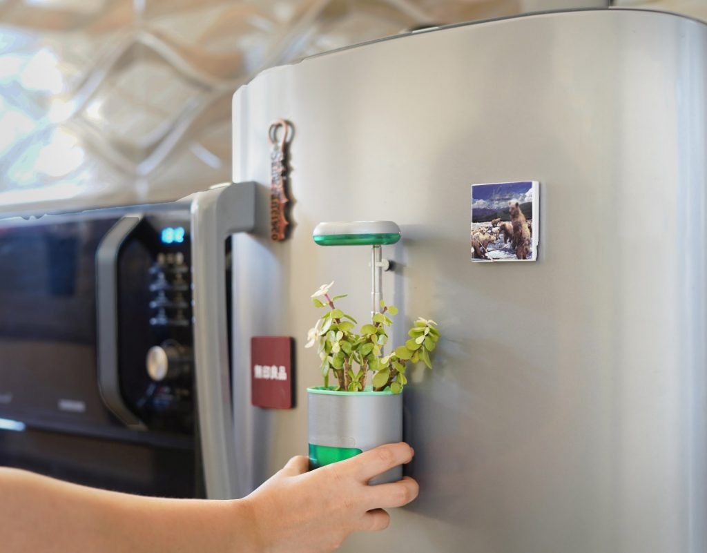 Oder am Kühlschrank... (Foto: Altifarm Enverde)