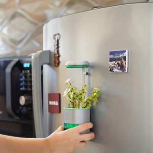 Oder am Kühlschrank... (Foto: Altifarm Enverde)