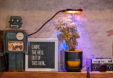 Pico passt überall in der Wohnung. Ihr braucht nur Strom. (Foto: Altifarm Enverde)