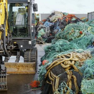 Das schwamm einmal im Meer und verletzte auch Pflanzen und Tiere. (Foto: LifeProof)