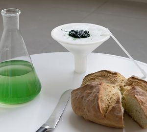 Guten Appetit? Spirulina selber züchten mit BioBombola. (Foto: ecoLogicStudio)