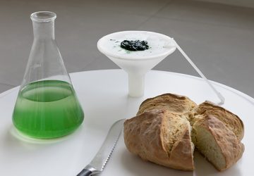 Guten Appetit? Spirulina selber züchten mit BioBombola. (Foto: ecoLogicStudio)