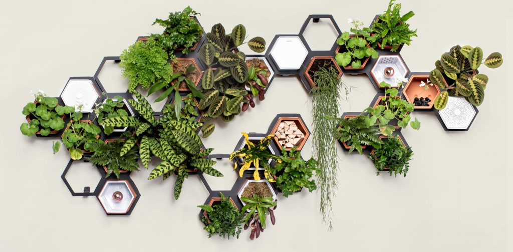 So schön könnte eure Wand mit der Living Wall aussehen. (Foto: Horticus)