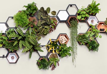 So schön könnte eure Wand mit der Living Wall aussehen. (Foto: Horticus)