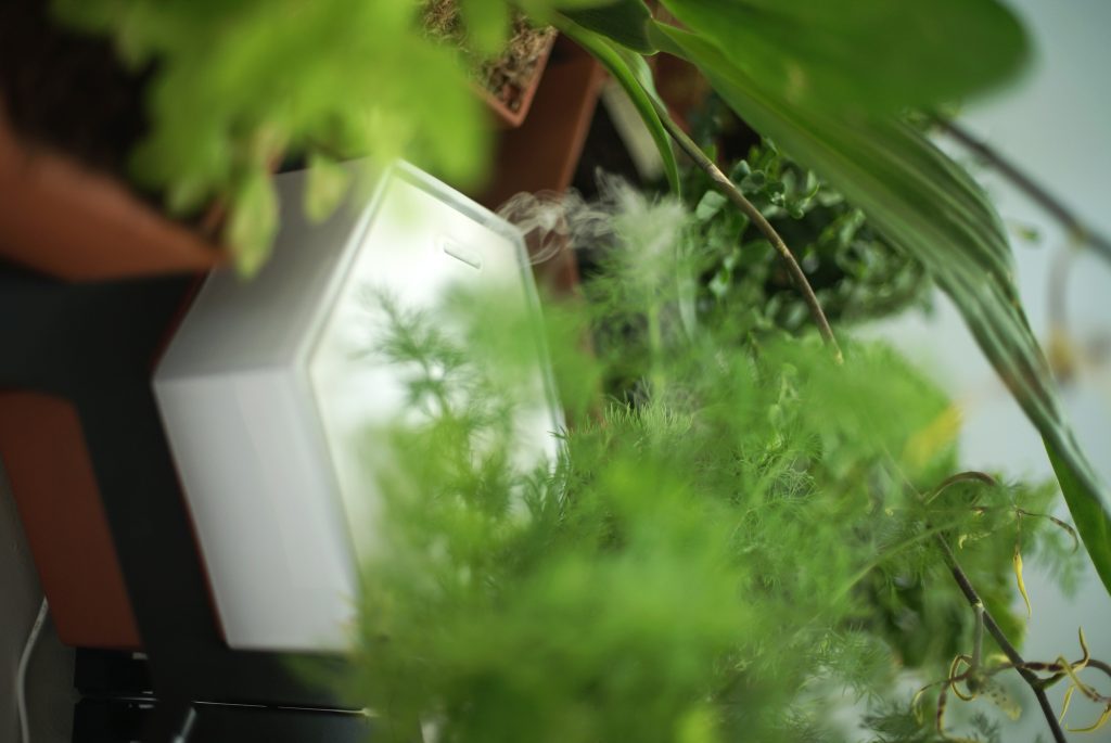 Der Luftbefeuchter eignet sich für ein gutes Raumklima und tropische Pflanzen. (Foto: Horticus)