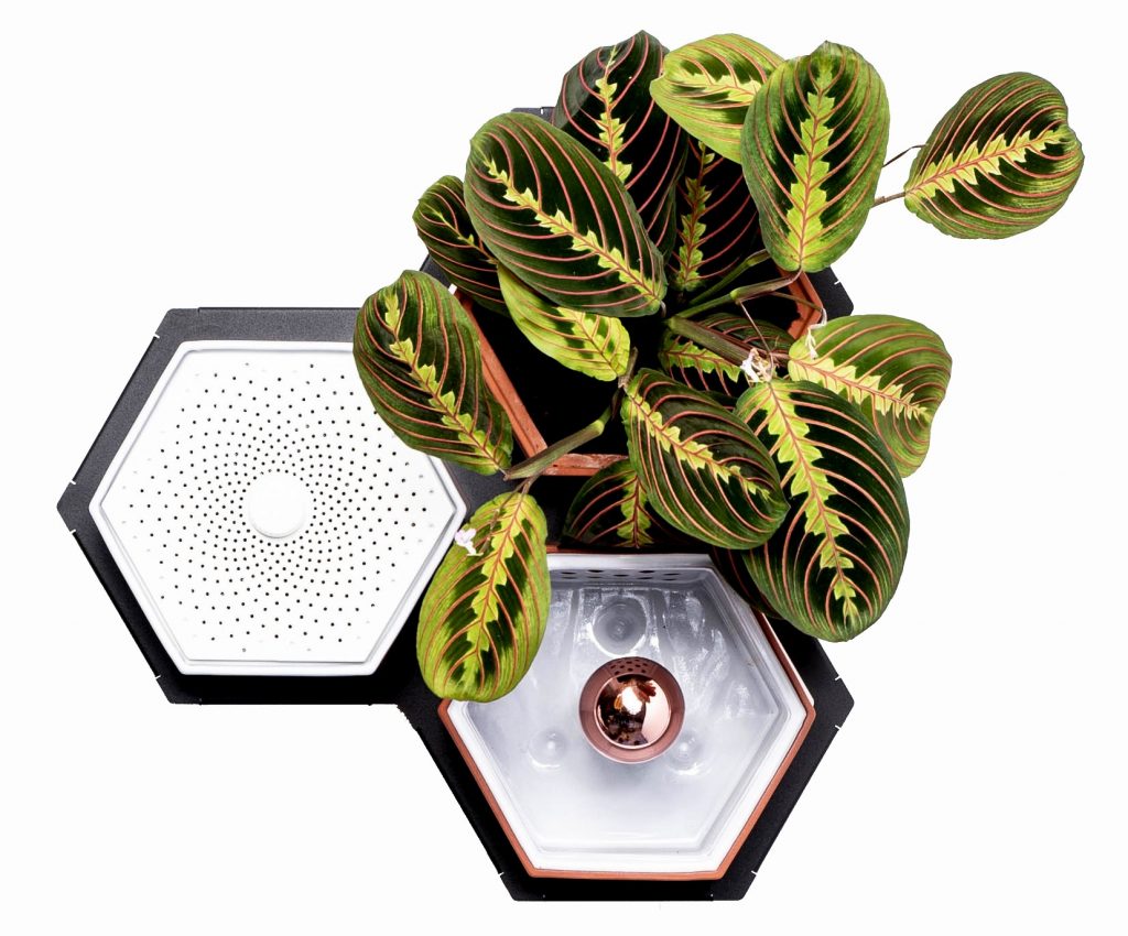 Lampe und Luftbefeuchter sind auch vorgesehen. (Foto: Horticus)