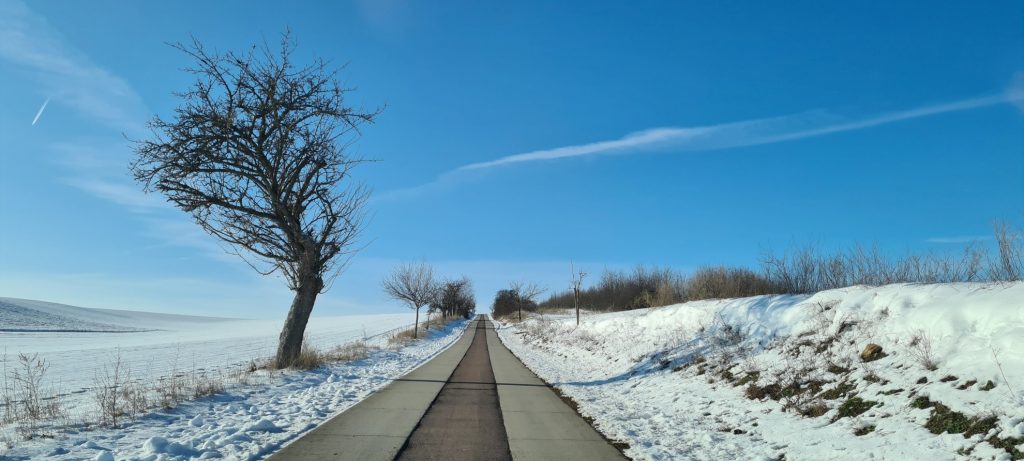 Straßen aus Einwegmasken? Eine ungewöhnliche Idee. (Foto: Sven Wernicke)