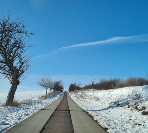 Straßen aus Einwegmasken? Eine ungewöhnliche Idee. (Foto: Sven Wernicke)