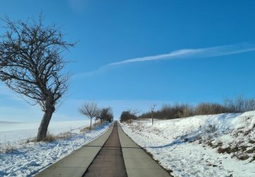 Straßen aus Einwegmasken? Eine ungewöhnliche Idee. (Foto: Sven Wernicke)