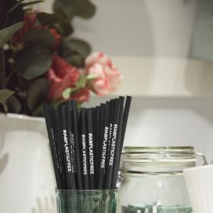 Plastikfreie Einweg-Trinkhalme. (Foto: #IAMPLASTICFREE)