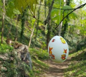 Und was sind nachhaltige Ostern für euch? (Foto: Sven Wernicke)
