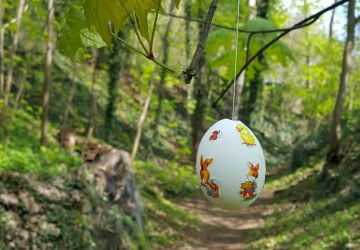 Und was sind nachhaltige Ostern für euch? (Foto: Sven Wernicke)