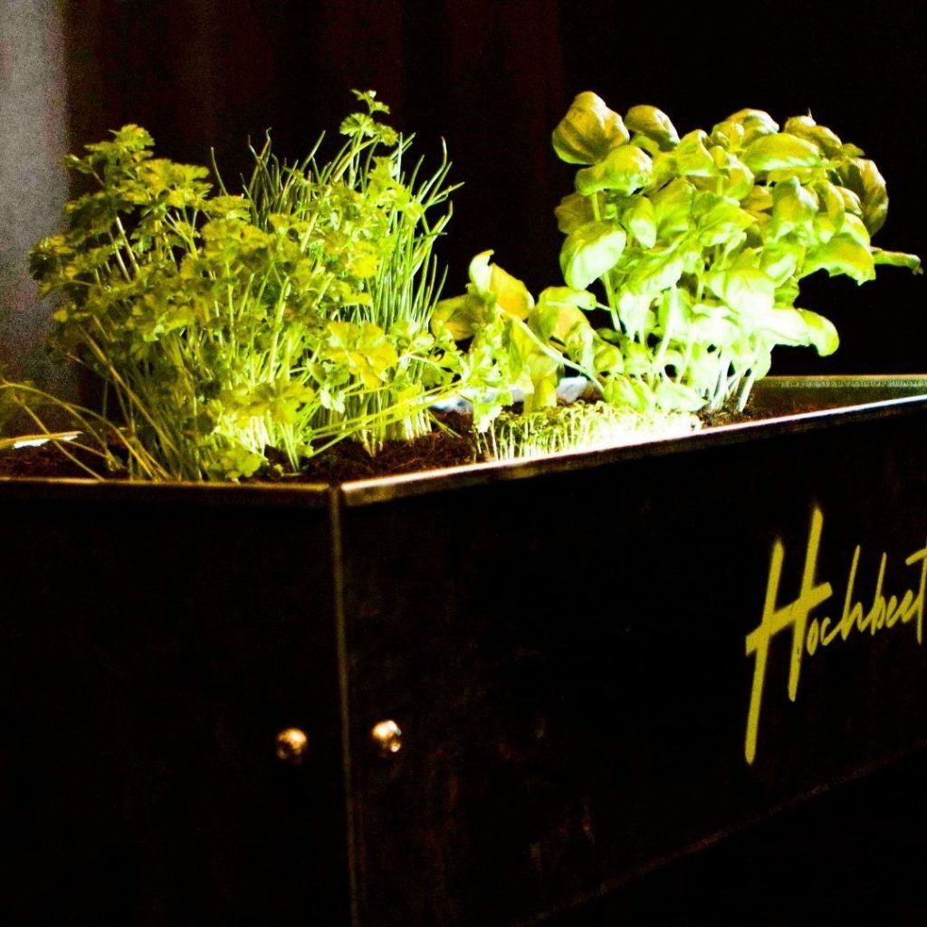 Urban Hochbeet Eigener Garten auf kleinstem Raum