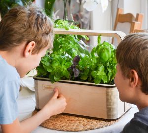 Urban Gardeing leicht gemacht - mit der GreenBox. (Foto: GreenBerlin)