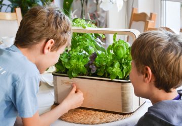 Urban Gardeing leicht gemacht - mit der GreenBox. (Foto: GreenBerlin)