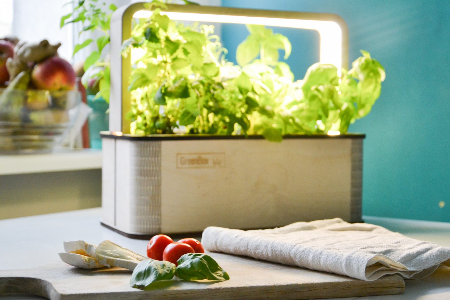 BerlinGreen GreenBox: Der etwas smartere Indoor-Garten