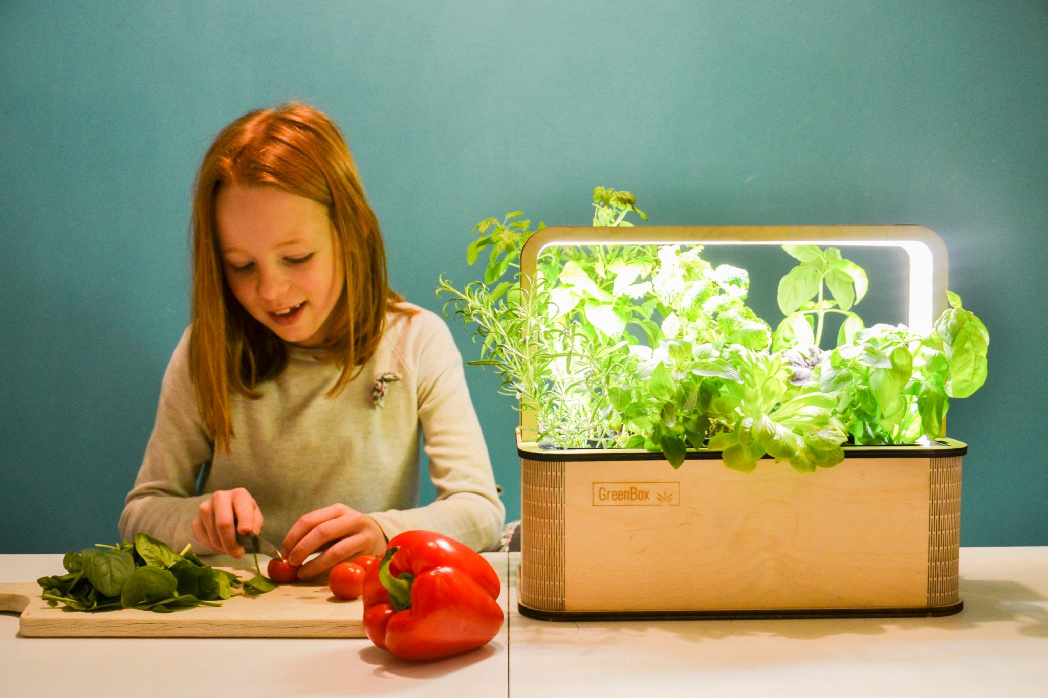 BerlinGreen GreenBox: Der etwas smartere Indoor-Garten