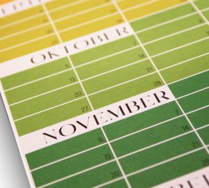 Welcher nachhaltige Kalender 2022 soll es sein? (Foto: Wi-La-No)