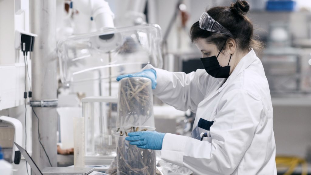 Norratex ist eine neue Textilfaser, die viel umweltfreundlicher ist. (Foto: Photino Science, Pentti Pällijeff)