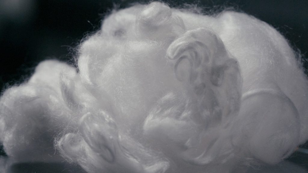 Norratex ist eine Alternative zu Baumwolle und anderen Fasern. (Foto: Photino Science, Pentti Pällijeff)