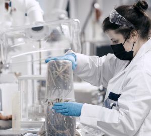 Norratex ist eine neue Textilfaser, die viel umweltfreundlicher ist. (Foto: Photino Science, Pentti Pällijeff)