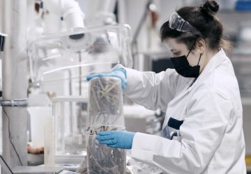 Norratex ist eine neue Textilfaser, die viel umweltfreundlicher ist. (Foto: Photino Science, Pentti Pällijeff)